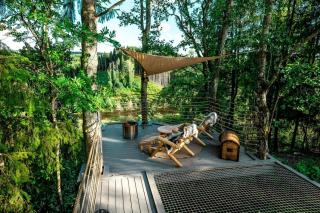 Forest Coziness - 2