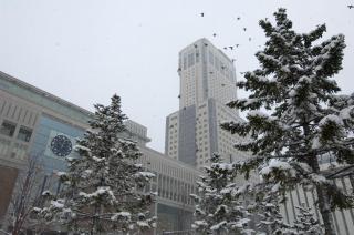 JR Tower Hotel Nikko Sapporo - 8