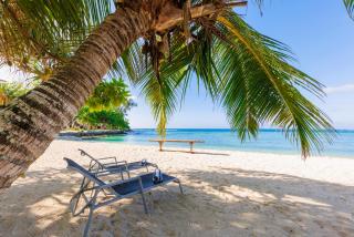 The Beach VANUATU - 9
