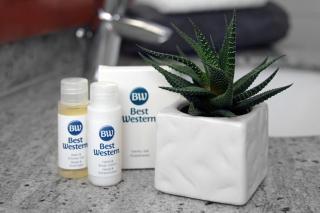 Best Western Hotel Halle-Merseburg - 4