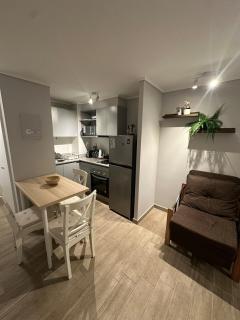 Apartment in downtown Santiago, Rondizoni Metro - 3