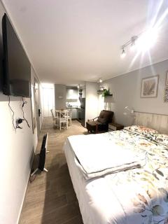 Apartment in downtown Santiago, Rondizoni Metro - 2