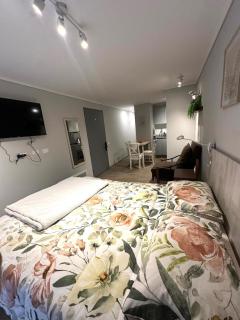 Apartment in downtown Santiago, Rondizoni Metro - 1