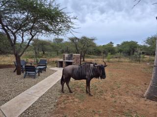 Vachellia View - 8
