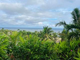 Palm Trees - 0