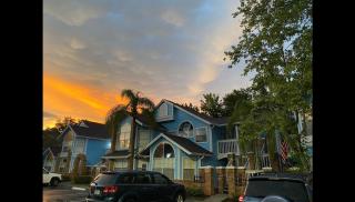 Poinciana Paradise - 4