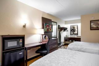 Red Roof Inn PLUS+ St. Louis - Forest Park / Hampton Ave. - 3