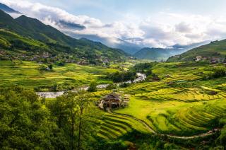 MT Homestay Terraced Fields - Sa Pa Trekking Tour Tả Van - 5