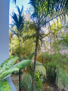 Sairee Sairee Guesthouse - 2