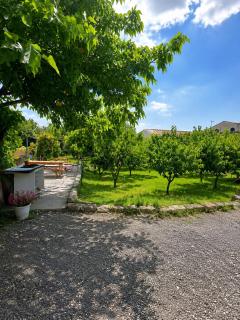 Vard & Garden Hotel - 7