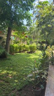 Beachside Green Homestay - 3