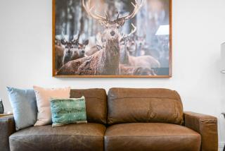 Boutique Stays - Carlton Terrace - 8