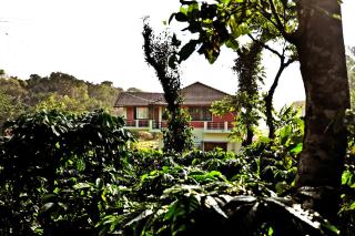 Sirimane Homestay - Pool & Activities, Home Food & Estate - 9