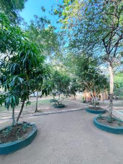 TEMBO Nature Haven - 9