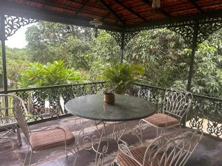 Mango Grove - 4