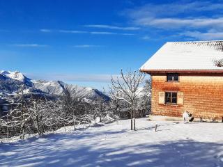 Holiday Home Dünser in Dünserberg by Interhome - 8