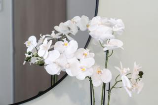 Soft Sage Studio - 4