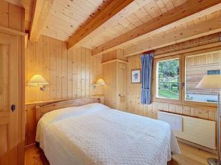 Boissiere 130 magnificent 3 bedrooms apartment in a quiet neighborhood - Verbier - 5