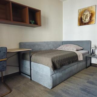 BRAUN APARTMENT CENTRUM & 24h self check-in with private parking - 7