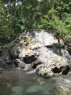Limestone Waterfalls Resort - 1