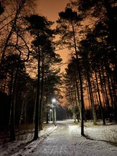 Apartment for rent in Voss - 4