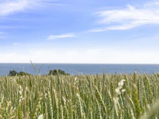 Apartment Steffi - 300m from the sea by Interhome - 6