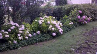 Complejo Sol&Luna - 6