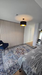 Skyline Apartment Frankfurt - 4