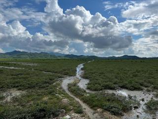 Hải Đảo Homestay - 7