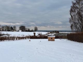 Scenic Holiday Estate with Private Activity Hall & Wellness Sauna - 3