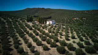 Casa rural Fuente Serena - Alcalá la Real - 5