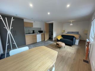 Cozy Studio in a central and quiet area near Basel - 1