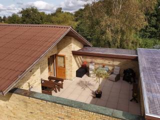 Holiday Home Svanborg - 40m from the sea by Interhome - 4