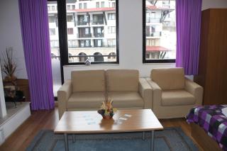 Studio Moni - Pamporovo - 9