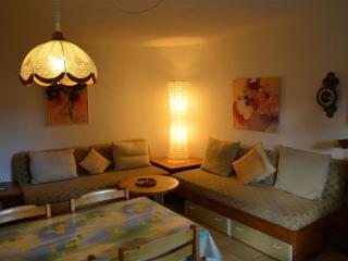 Apartment Simmental Appartement-Fewo- Dusche oder Bad- WC 4-Bettwohnung by Interhome - 2