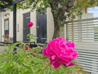 Apartment Elso - 5km from the sea by Interhome - 3