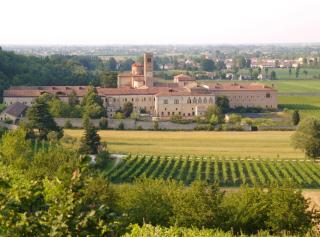 Fattoria Busa dell'Oro - Monte Ortone - 3