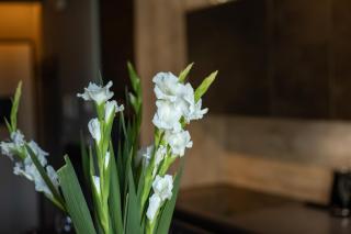 Riverside Vista Luxury Wellnes & Spa by UniqueRent - 3