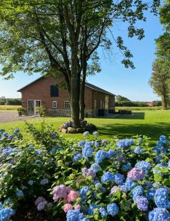 Renovated barn by Haervejen in peaceful nature - 0