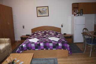 Studio Moni - Pamporovo - 8