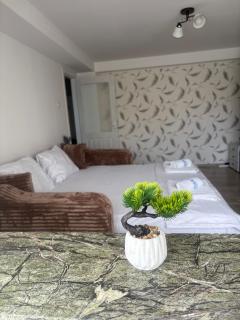 Transfăgărășan Gateway - Apartament modern - Curtea de Arges - 9