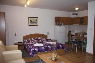 Studio Moni - Pamporovo - 7
