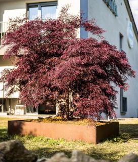 Walhalla Zen Hotel Regensburg - 7