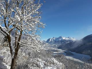 Dolomiti - Pieve di Cadore - 6