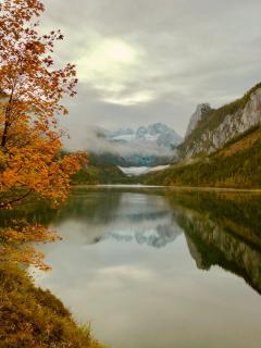 SEIN Boutique Suites - ADULTS ONLY - Gosau - 3