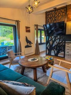 Vila Bašić Vlašić VUK Apartman - 8
