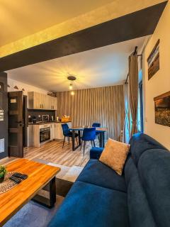 Vila Bašić Vlašić MEDO Studio Apartman Sauna i Jacuzzi - 8