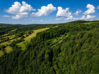 Sosnowa Chata Osada PTOSEK Bieszczady - 6