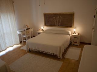 Stella di Mare - La Maddalena - 9