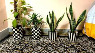 Two private rooms in 3bhk flat - 5